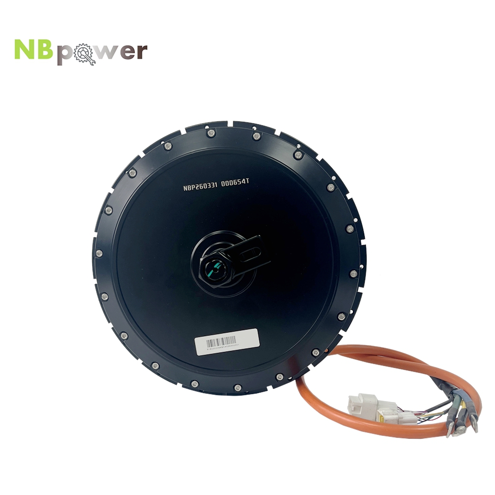 Электродвигатель-редуктор NBpo – обзор и цена Qs Motor 273 8000W Hub Motor