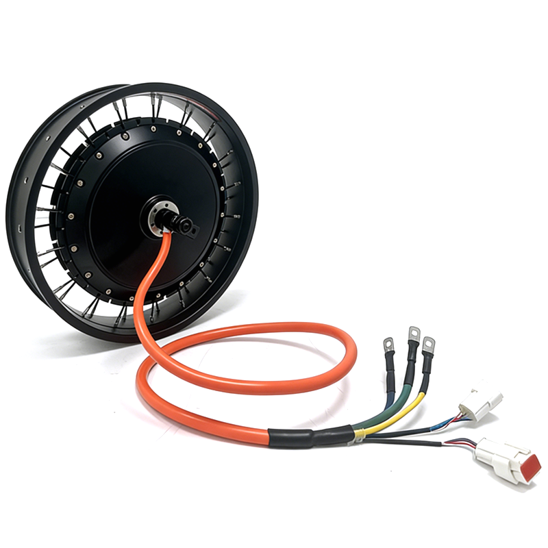 NBpower/QS 273 40H 48-96 В ном – обзор и цена Qs Motor 273 8000W Hub Motor